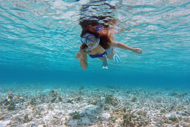 Guided Snorkeling Trip in the Maldives