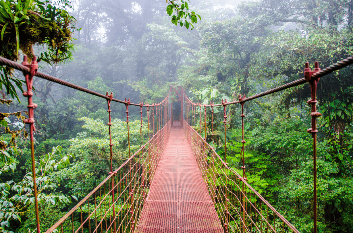 Costa Rica: Hanging Bridges, la Fortuna Waterfall and Arenal Volcano Hike