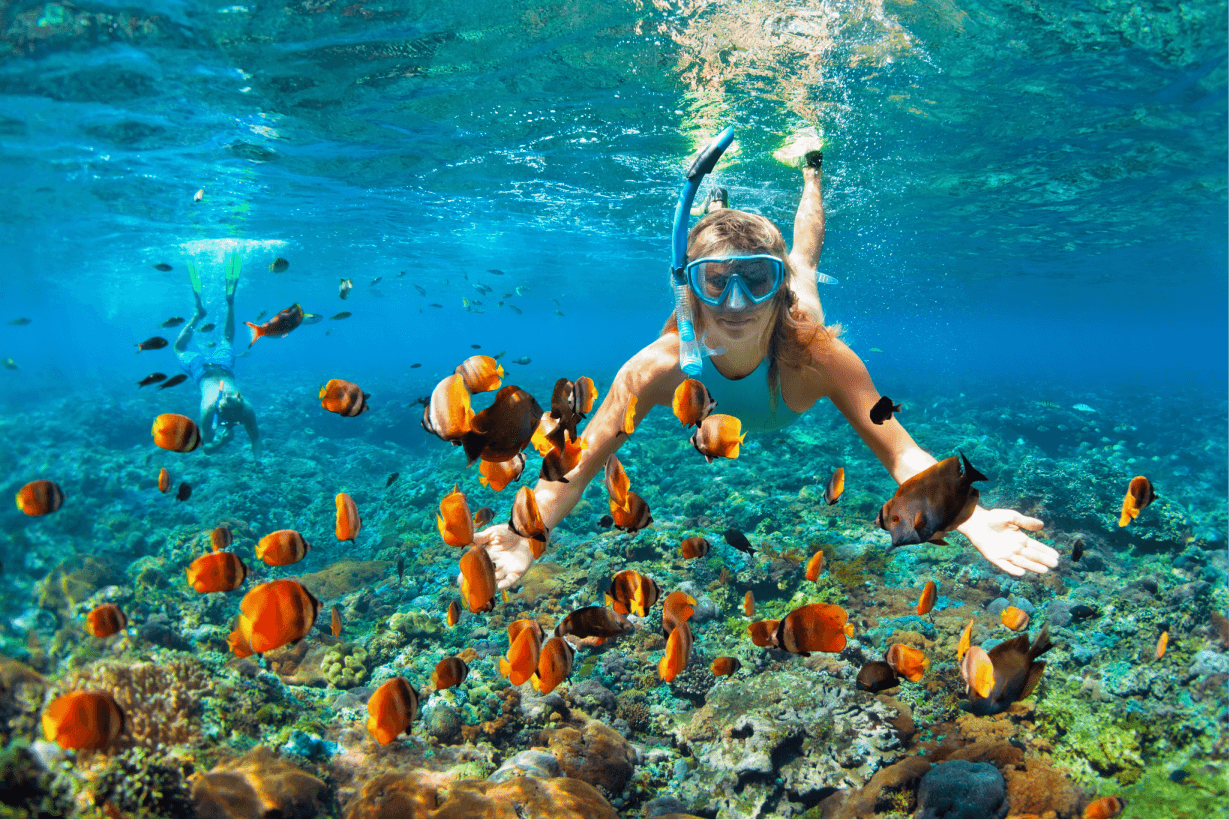 Snorkeling Trip From Malé, the Maldives