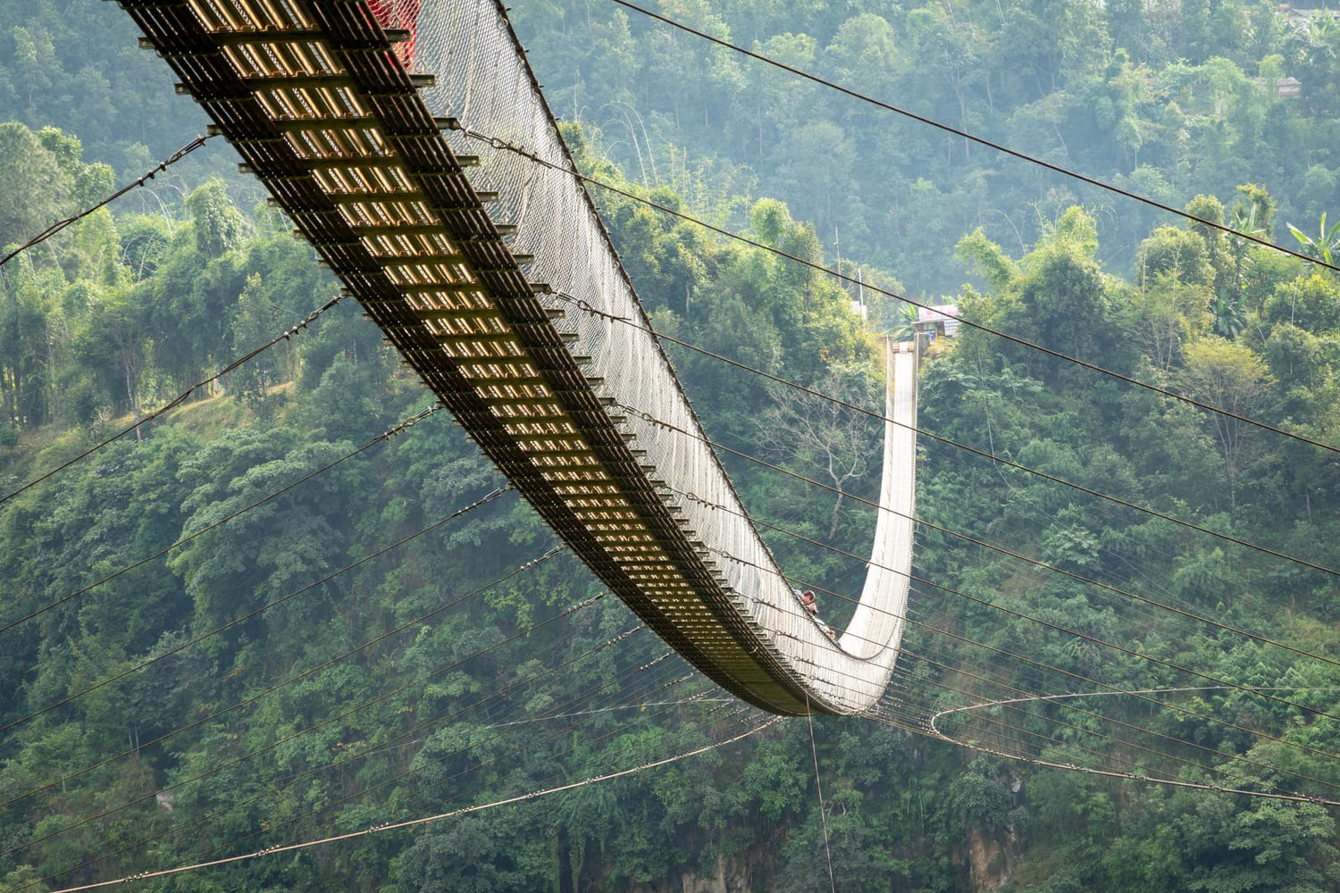 Seoul Vibes: Private DMZ Peace Tour: 3rd Invasion Tunnel (Monorail) & Suspension Bridge