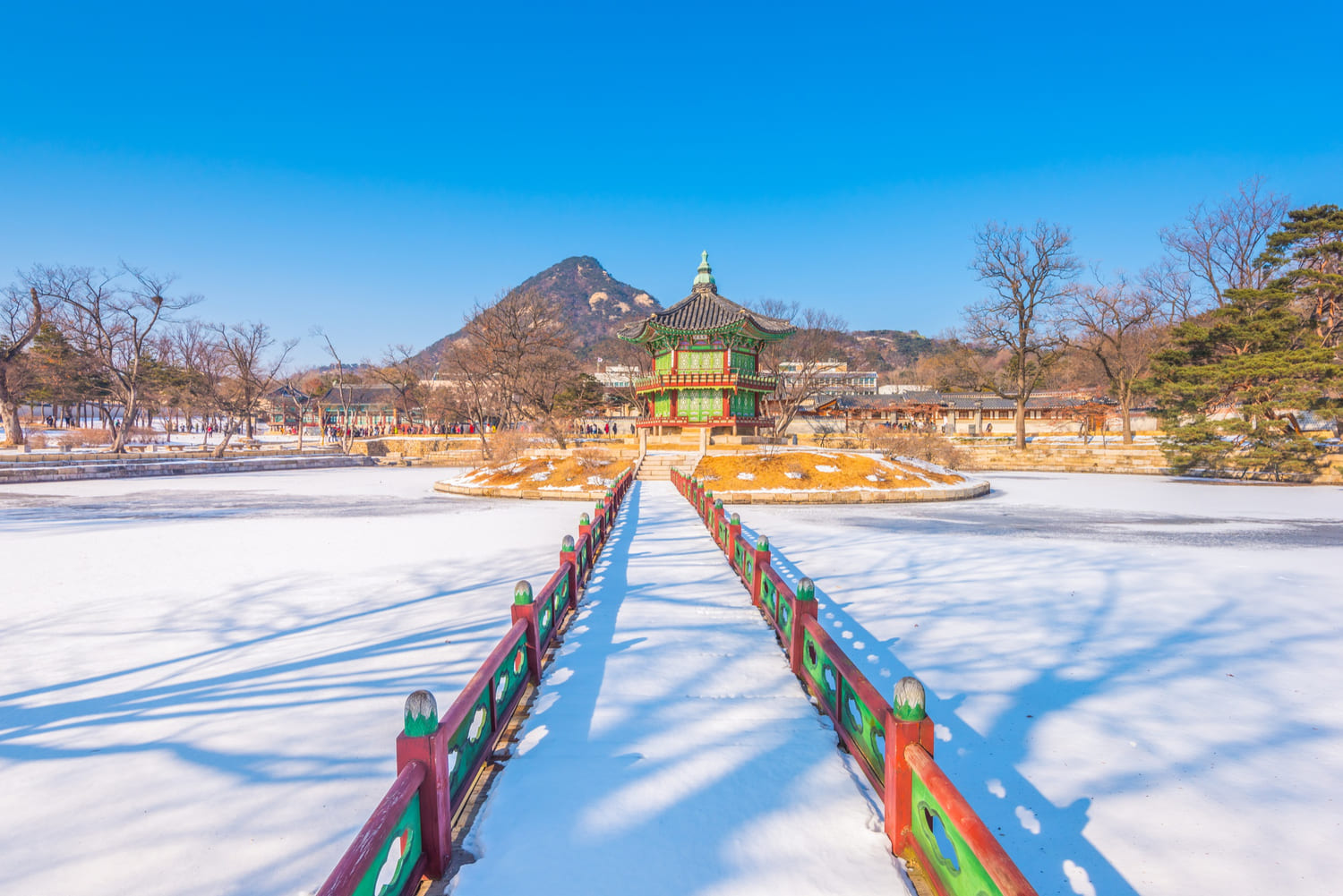 Seoul, South Korea: Private Tour Nami Island With Petite France And/or the Garden of Morning Calm