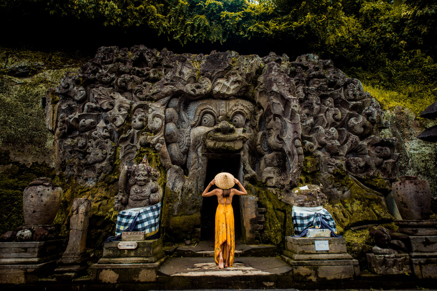 Indonesia: Ubud Tour, All Inclusive